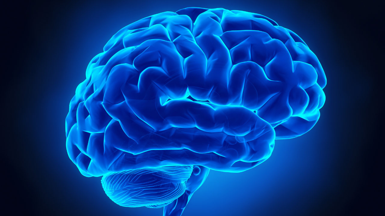 FDA Clears Positrigo’s NeuroLF Brain PET System for the Diagnosis of Multiple Brain Disorders
