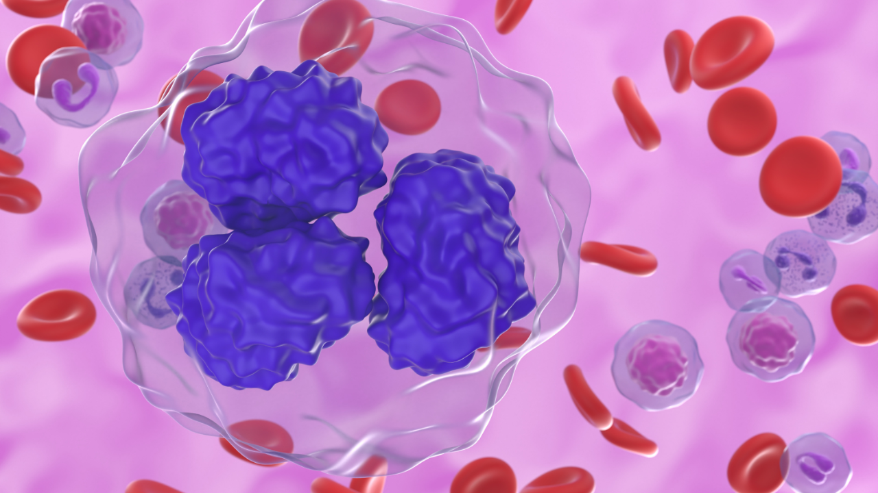 Follicular lymphoma (FL) cells in blood flow - closeup view 3d illustration. Image Credit: Adobe Stock Images/LASZLO