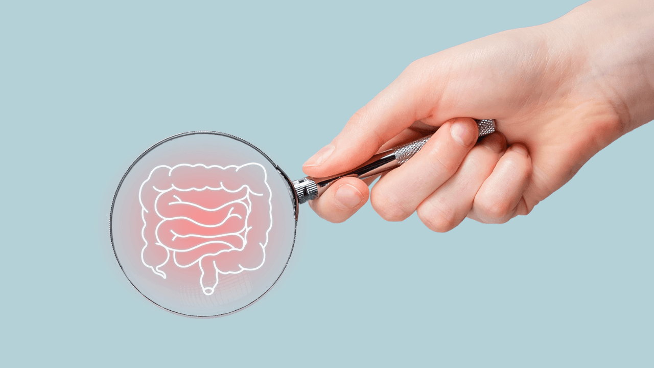 Intestine disease concept. Magnifying glass studying guts, bowel. Gastroenterology. Image Credit: Adobe Stock Images/valiantsin