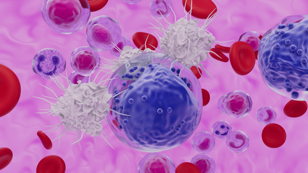 Dendritic cell recognize Acute myeloid leukaemia (AML) cell - closeup view 3d illustration. Image Credit: Adobe Stock Images/LASZLO