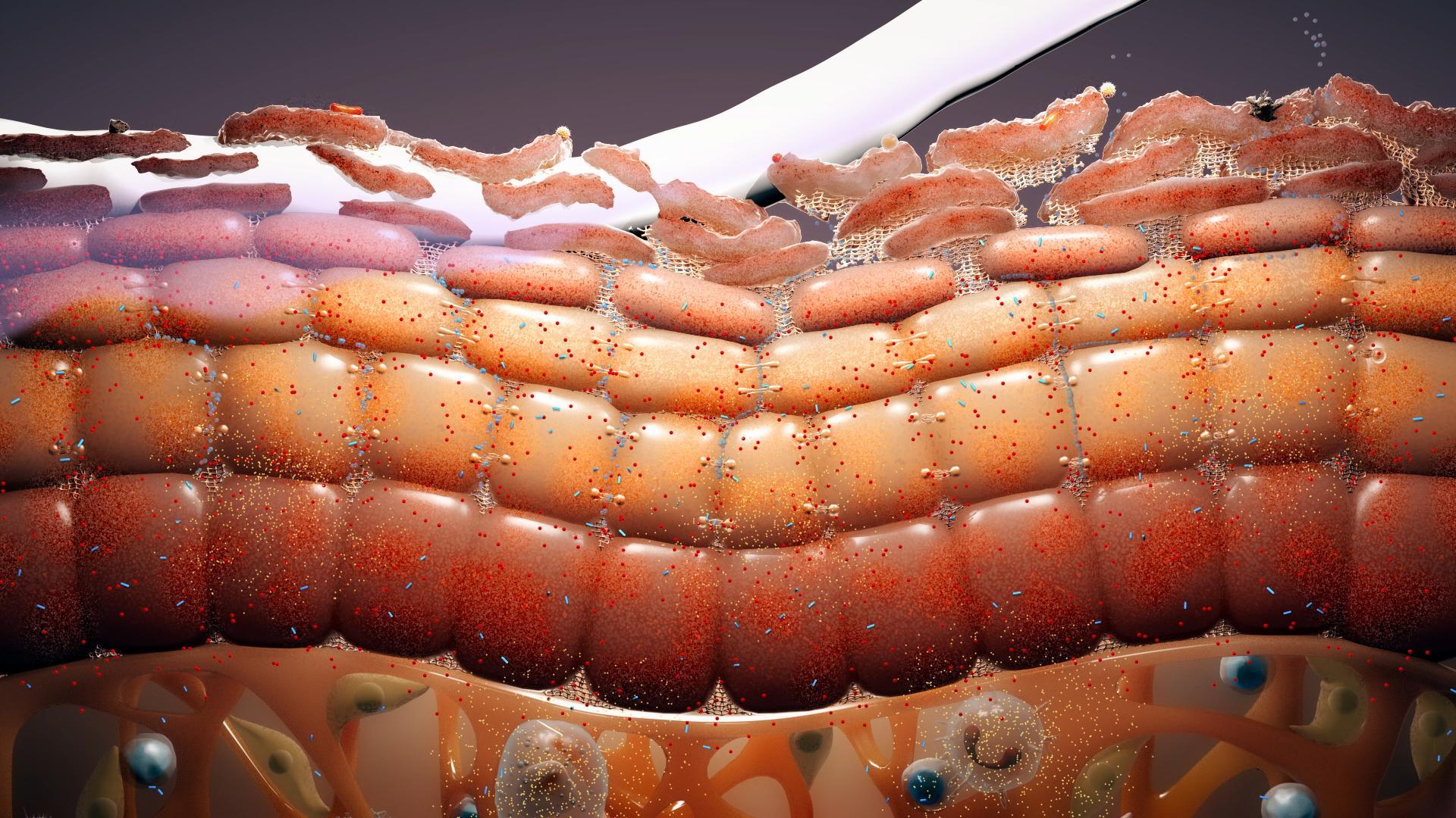 Credit: still from Unifarco Biomedical’s Ceramage animation – Arkitek Scientific