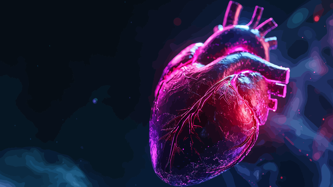 Human heart illustration. Image Credit: Adobe Stock Images/MARIAM