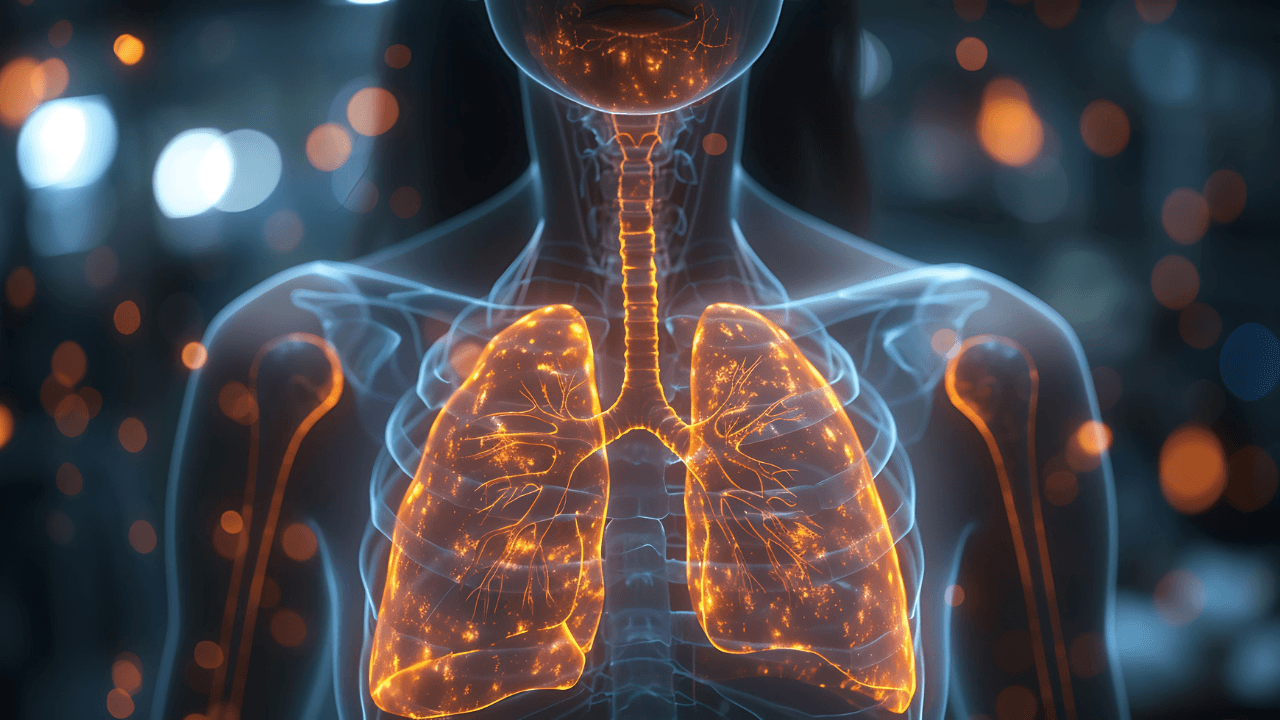 Woman mesothelioma glowing depiction of lungs showing cancerous growth in the pleura. Image Credit: Adobe Stock Images/Premium Graphics