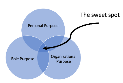 What the Leaders of the Most Effective Teams Know