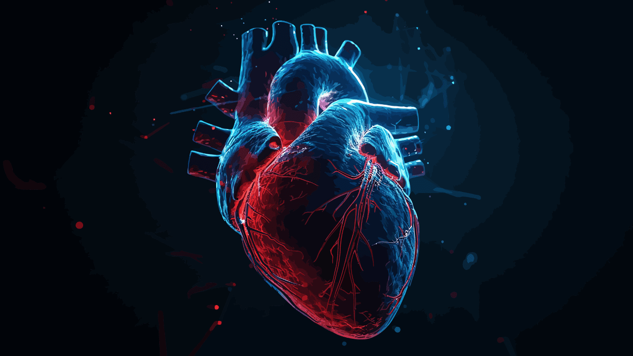 Human heart illustration. Image Credit: Adobe Stock Images/MARIAM