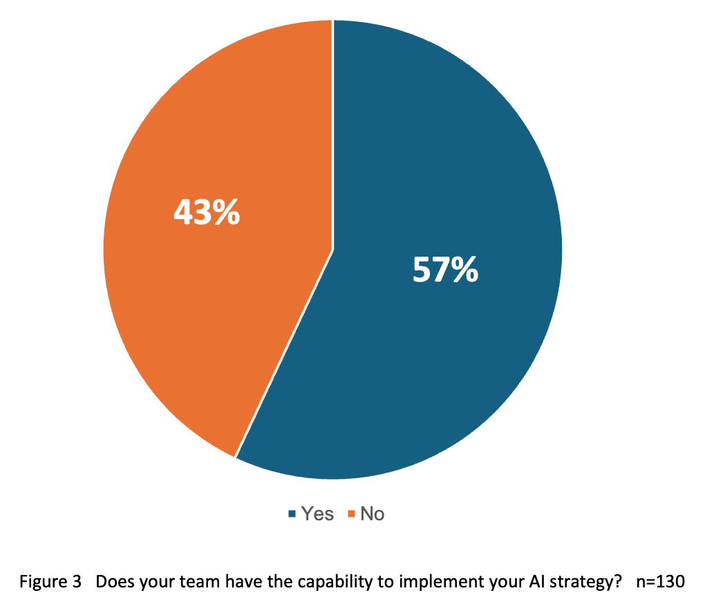 Capability to implement your AI strategy.