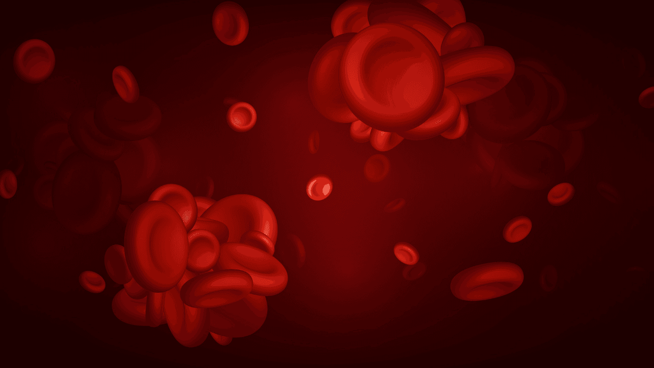 Blood clots, thrombus or embolus with coagulated erythrocytes. Image Credit: Adobe Stock Images/writerfantast