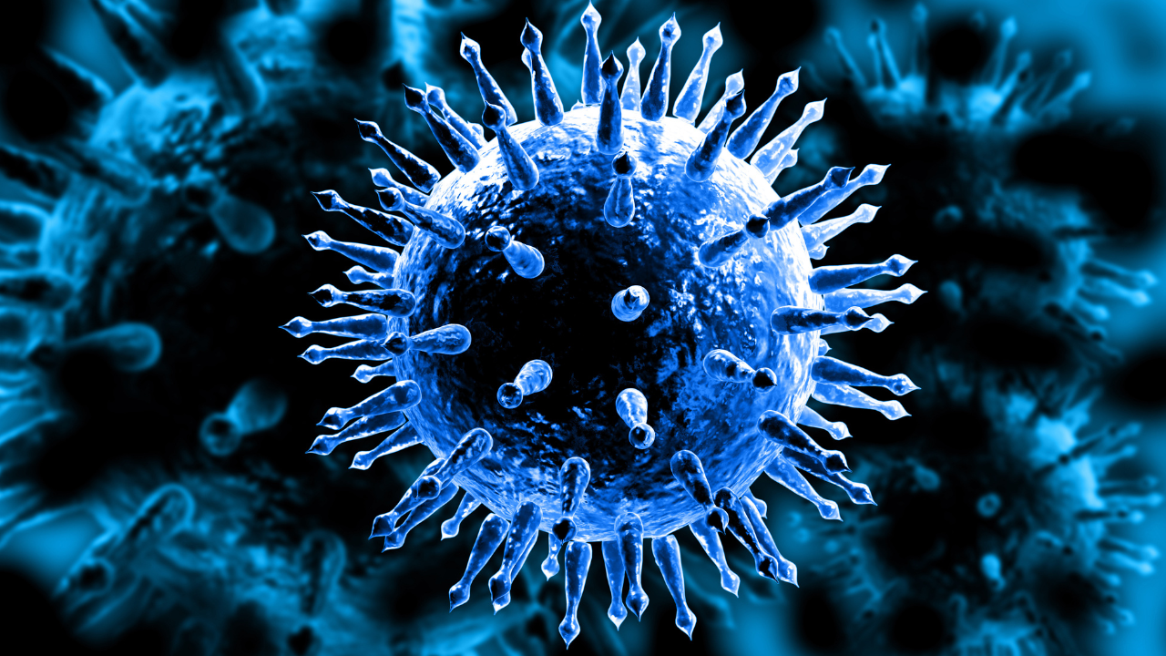 Influenza Virus. Image Credit: Adobe Stock Images/abhijith3747